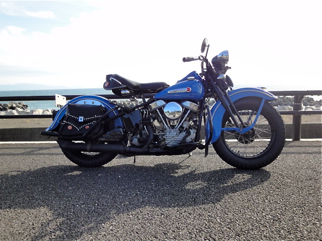 Harley Davidson 48PAN HEAD: D.Lewis