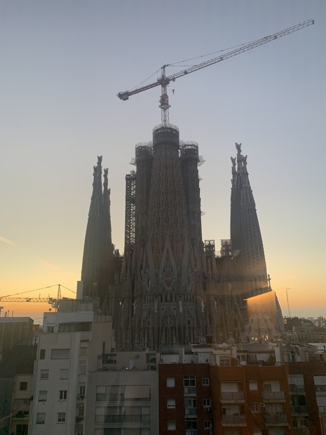 IMG_1494.jpeg