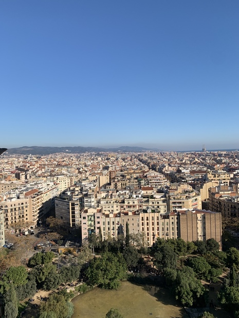 IMG_1578.jpeg